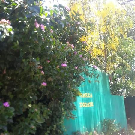 Posada Maria Iguazu Πουέρτο Ιγκουασού Εξωτερικό φωτογραφία