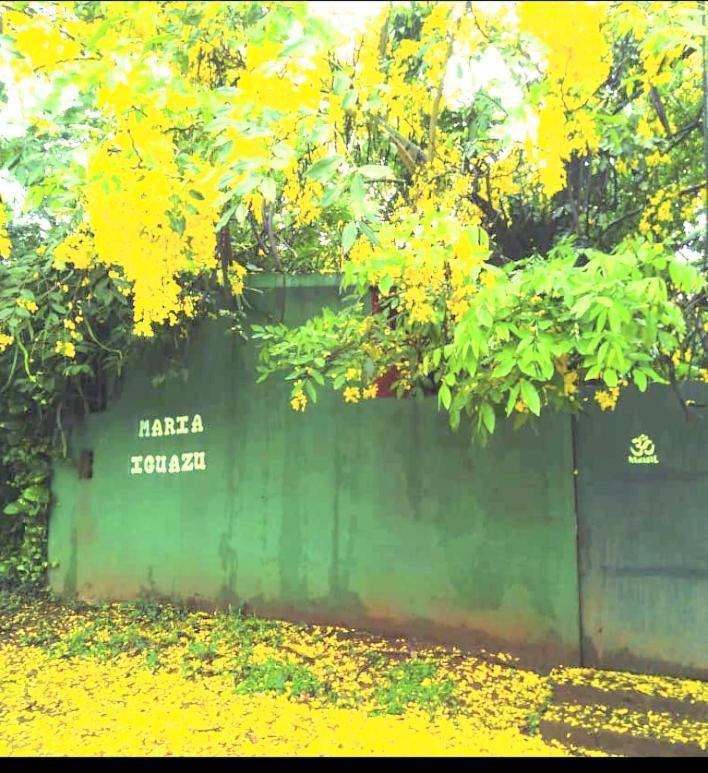 Posada Maria Iguazu Πουέρτο Ιγκουασού Εξωτερικό φωτογραφία