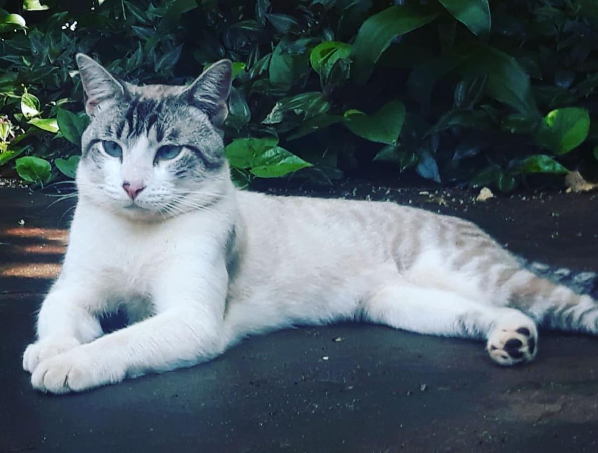 Posada Maria Iguazu Πουέρτο Ιγκουασού Εξωτερικό φωτογραφία