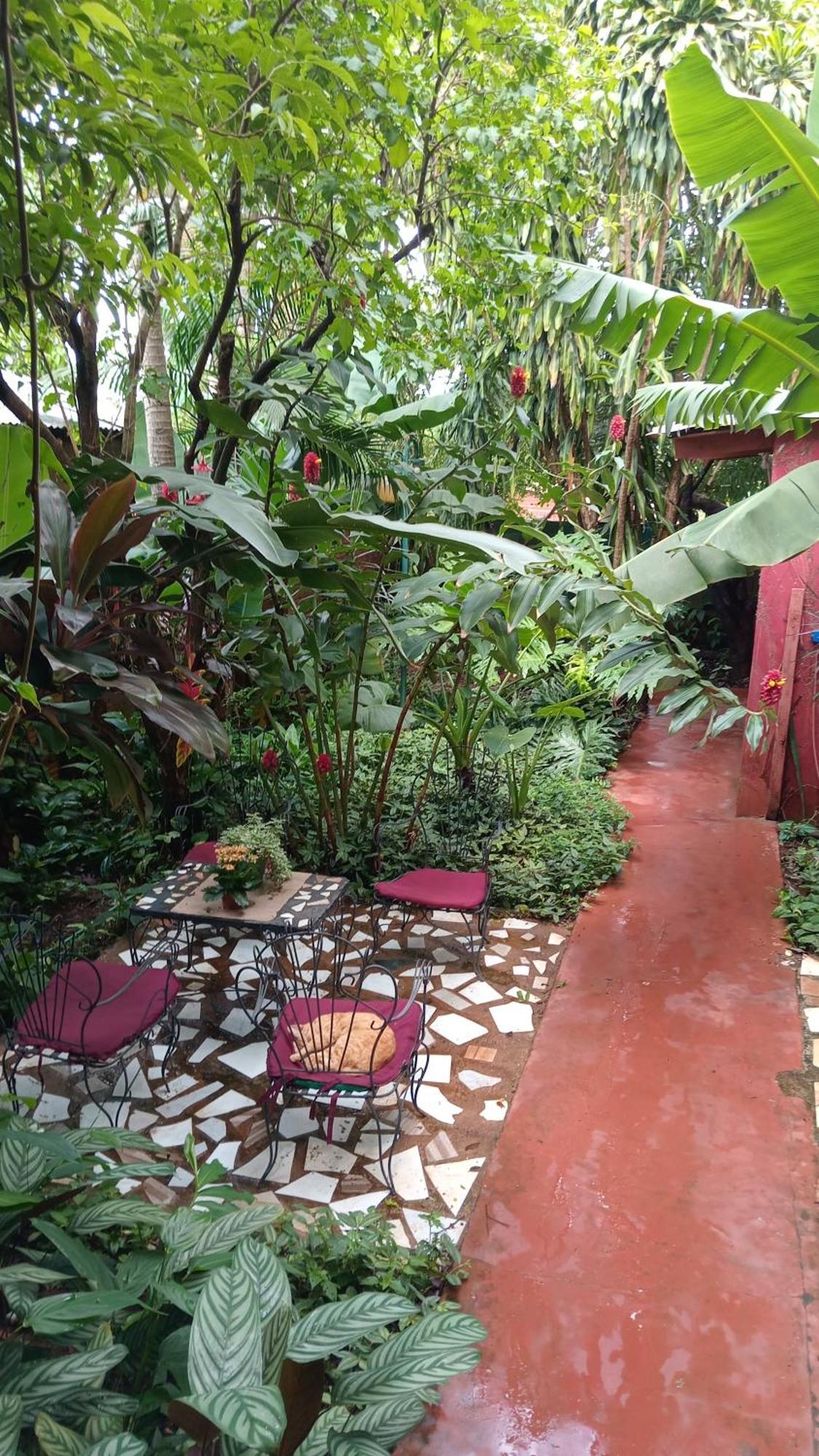Posada Maria Iguazu Πουέρτο Ιγκουασού Εξωτερικό φωτογραφία