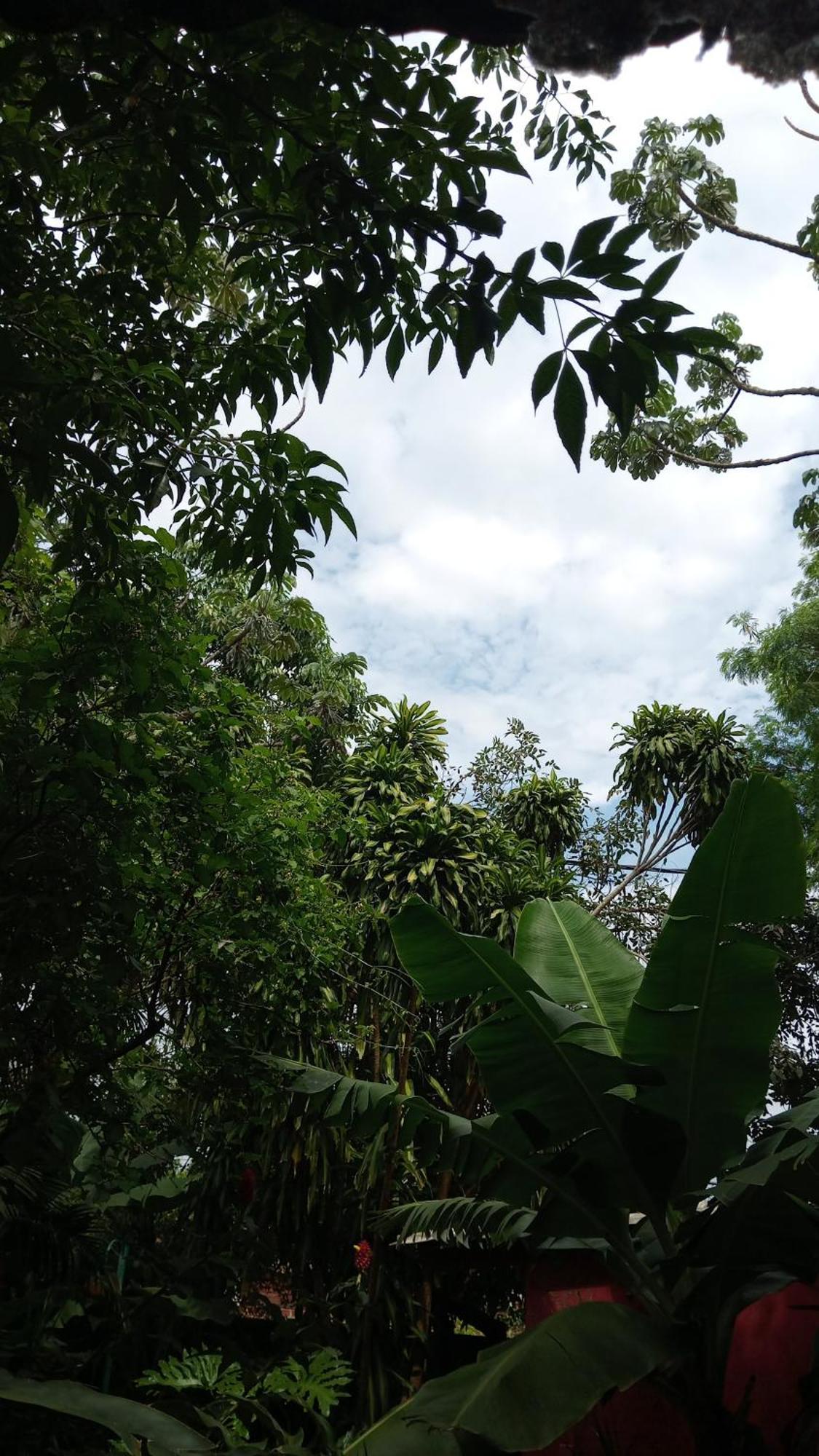 Posada Maria Iguazu Πουέρτο Ιγκουασού Εξωτερικό φωτογραφία