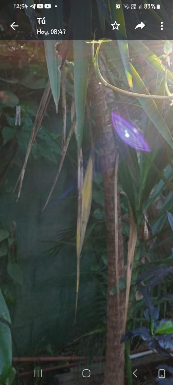 Posada Maria Iguazu Πουέρτο Ιγκουασού Εξωτερικό φωτογραφία