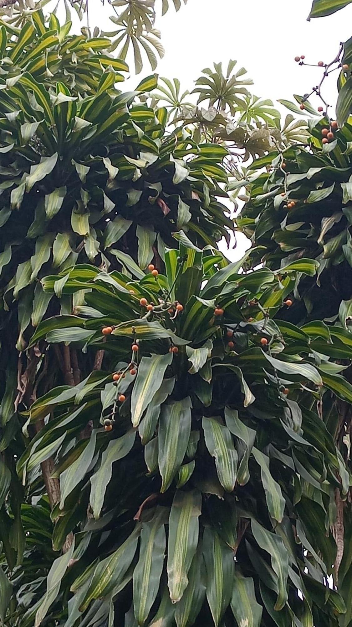 Posada Maria Iguazu Πουέρτο Ιγκουασού Εξωτερικό φωτογραφία