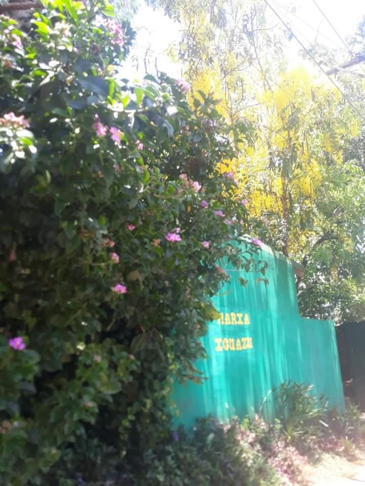 Posada Maria Iguazu Πουέρτο Ιγκουασού Εξωτερικό φωτογραφία