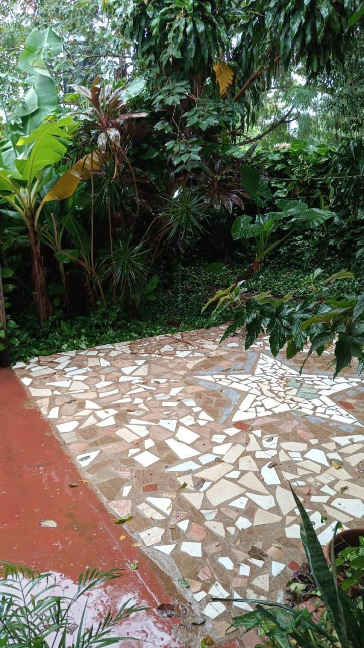 Posada Maria Iguazu Πουέρτο Ιγκουασού Εξωτερικό φωτογραφία