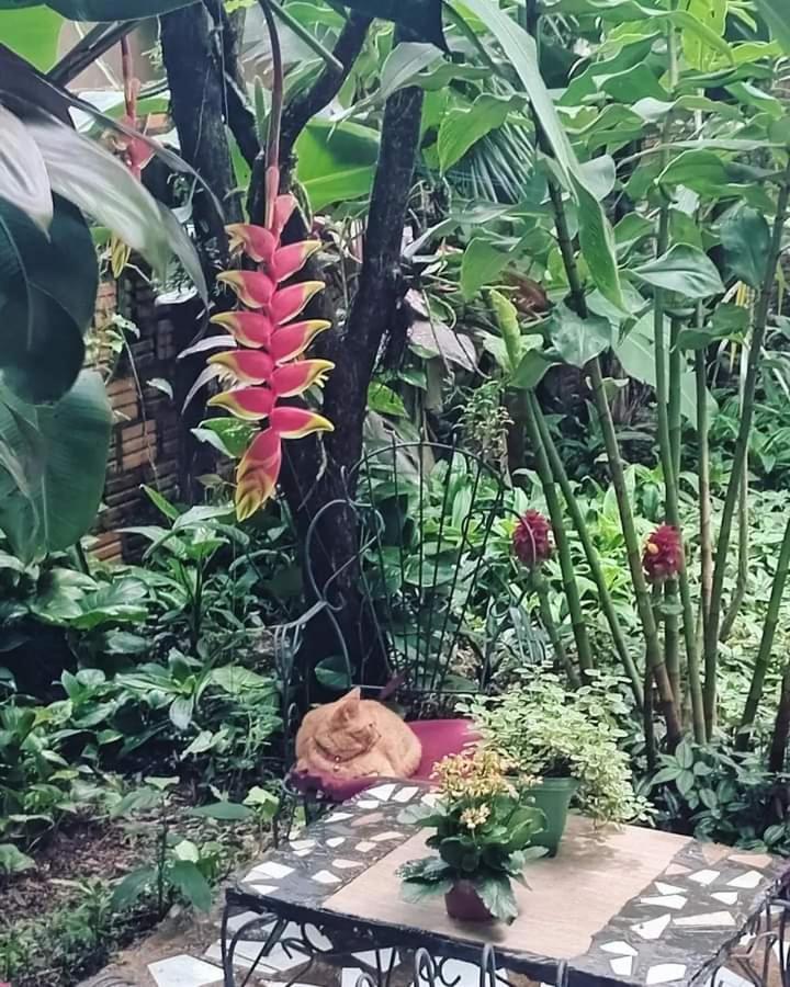 Posada Maria Iguazu Πουέρτο Ιγκουασού Εξωτερικό φωτογραφία