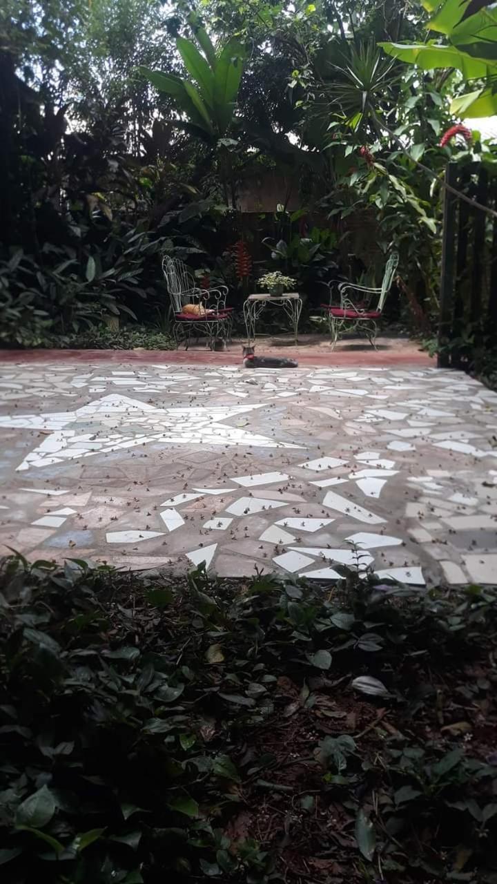 Posada Maria Iguazu Πουέρτο Ιγκουασού Εξωτερικό φωτογραφία