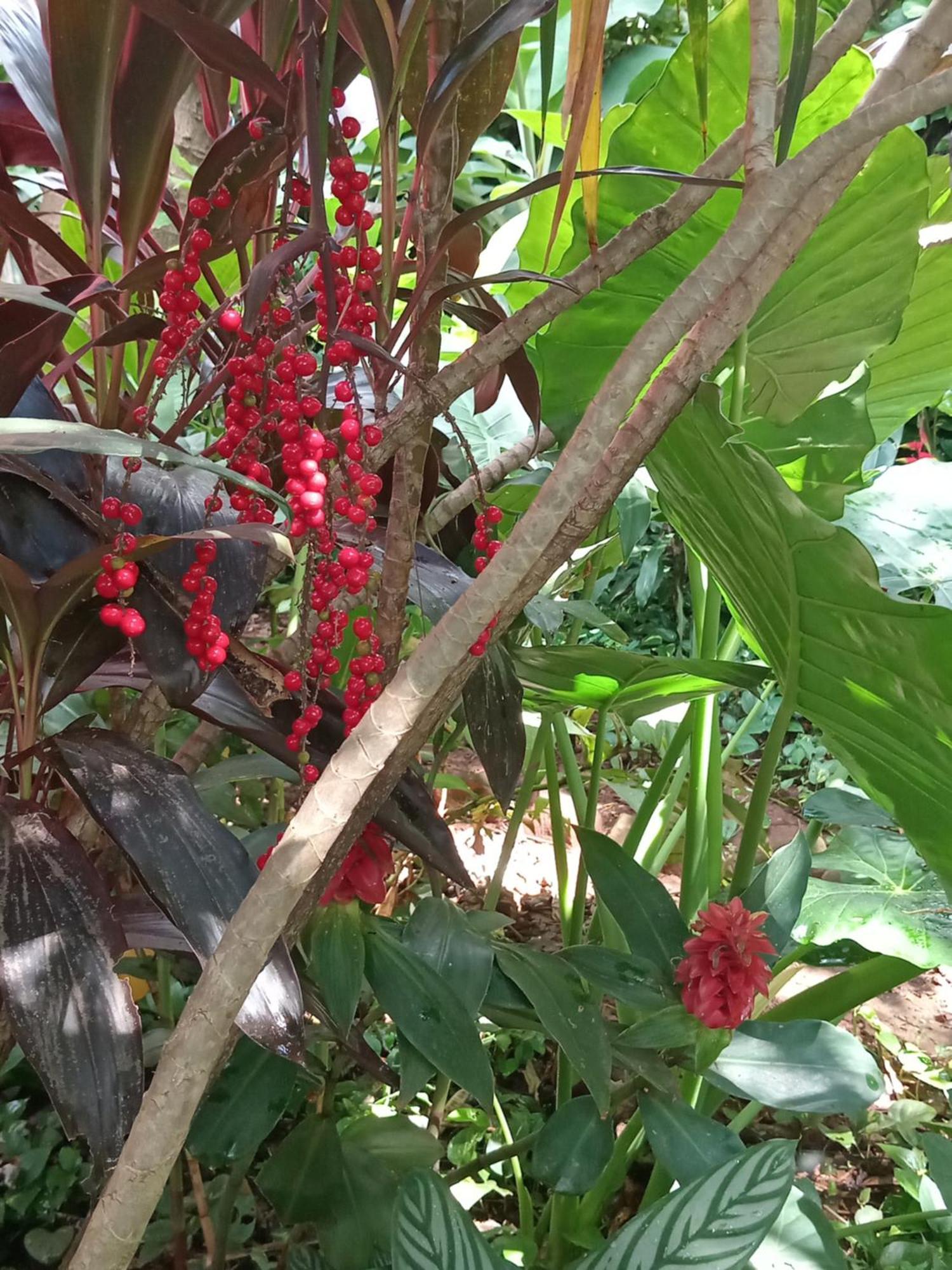 Posada Maria Iguazu Πουέρτο Ιγκουασού Εξωτερικό φωτογραφία