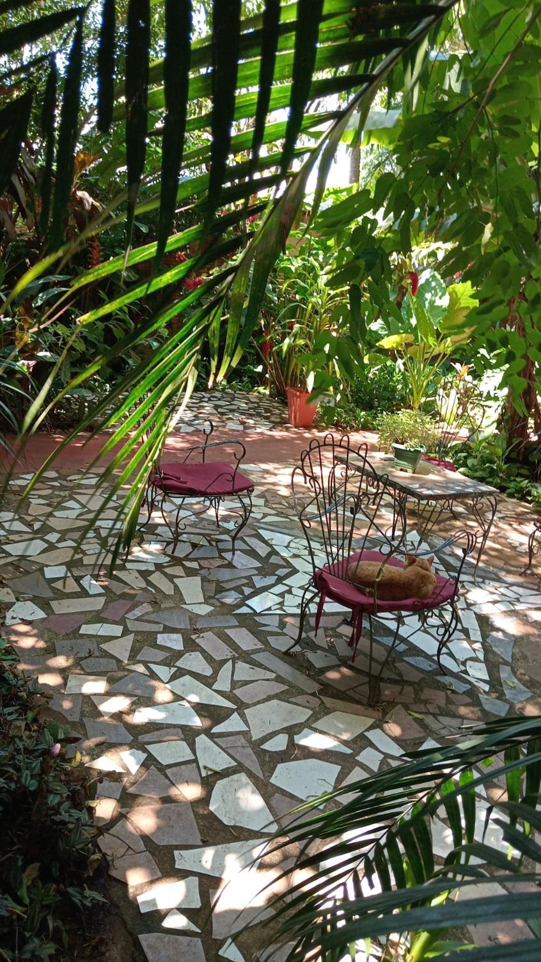 Posada Maria Iguazu Πουέρτο Ιγκουασού Εξωτερικό φωτογραφία